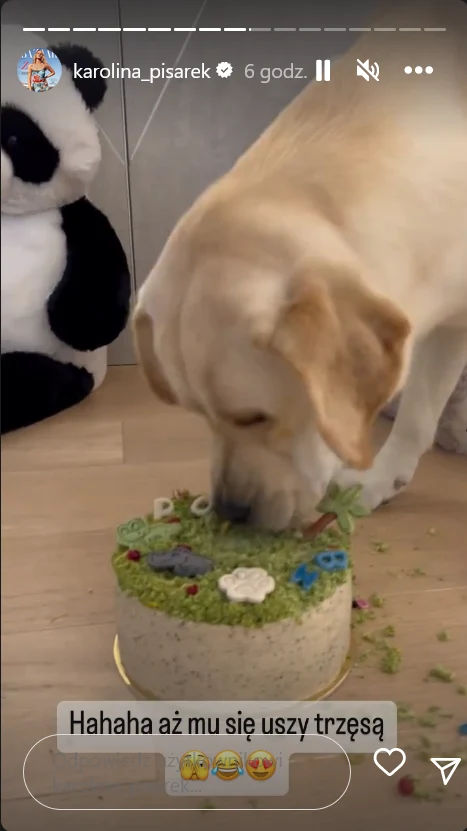 Pies Karoliny Pisarek.