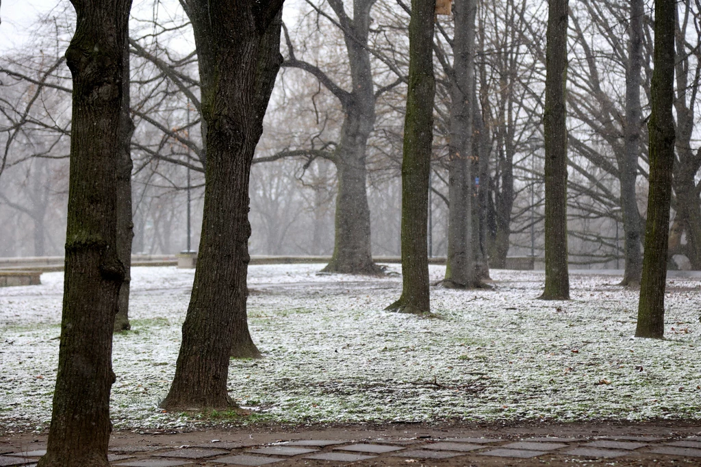Gdzie spadnie śnieg? Synoptycy wskazują północ kraju Gdzie spadnie śnieg? Synoptycy wskazują północ kraju