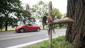 Pośrednicy kancelarii odszkodowawczych często nazywani są "hienami cmentarnymi"