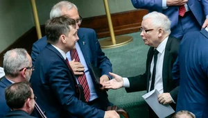 Między rechotem a horrorem