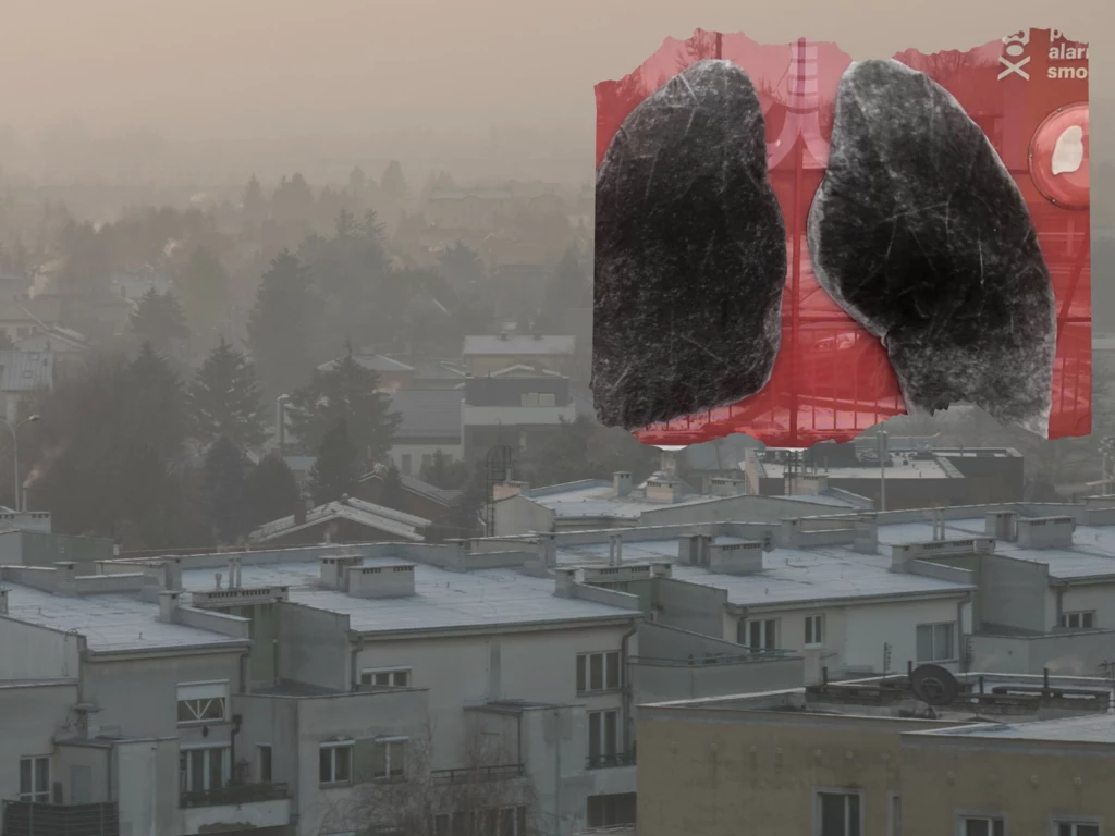 Mobilne płuca jeżdżą po Polsce i obrazują skalę zanieczyszczeń powietrza