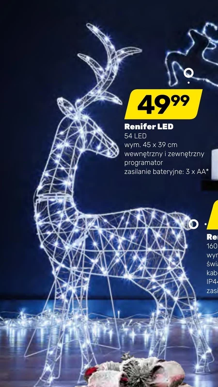 Renifer
