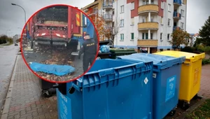 21-latka zginęła zmiażdżona przez prasę, ponieważ zasnęła w śmietniku 