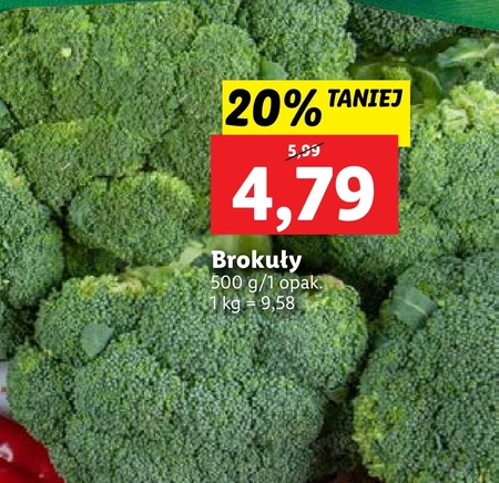 Brokuł