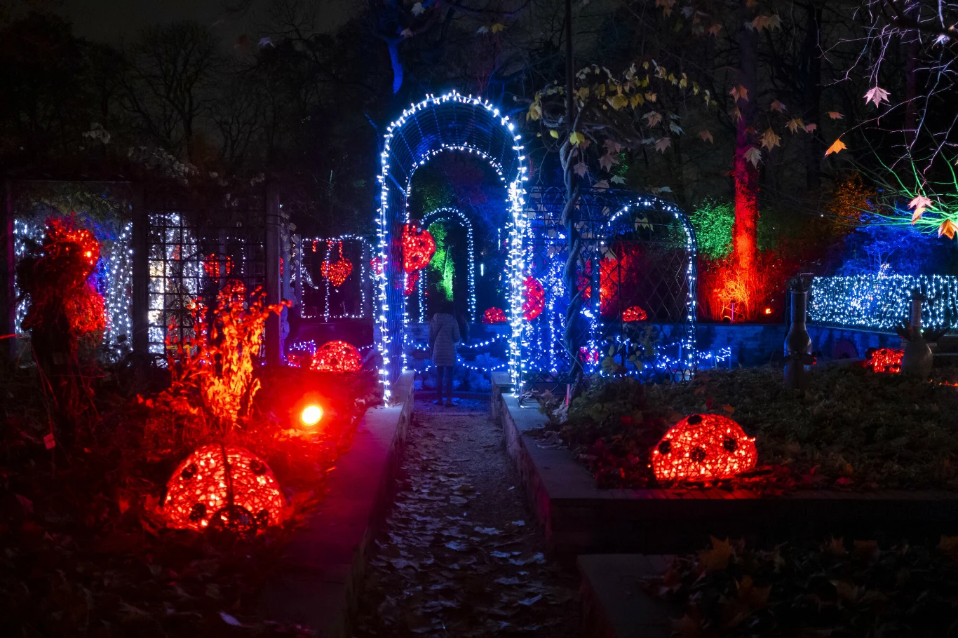 Ogród świateł w Ogrodzie Botanicznym UW