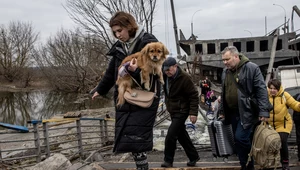 Dramat zwierząt w Ukrainie. Zginęło ich aż 6 milionów