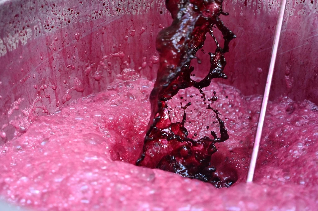 Młode wino ma wielu zwolenników AFP RICHARD A. BROOKS