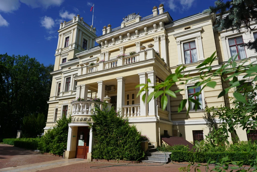 Pałac w Biedrusku Pałac w Biedrusku
