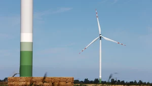 Szansa dla polskiej energetyki wiatrowej? Rząd pracuje nad zmianą ustawy o OZE