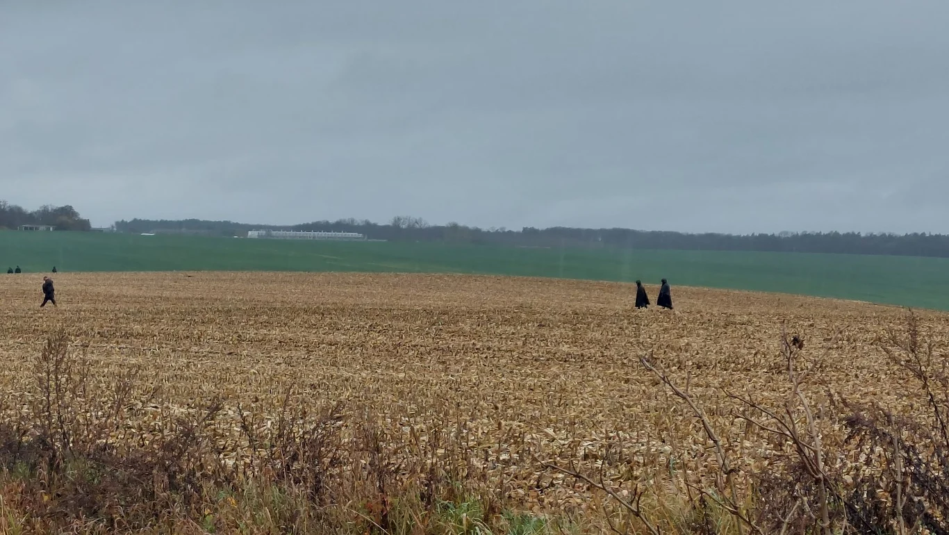 Przewodów. Rakiety w Polsce. Służby przeszukują okoliczne pola ...