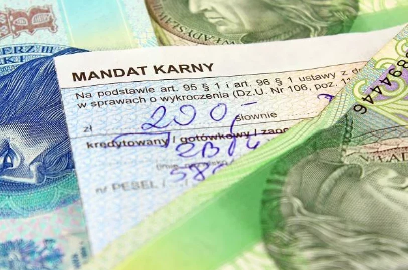Dzięki usłudze Twój e-PIT można opłacić m.in. PIT, CIT i VAT, podatki od spadków i darowizn czy mandaty (zdj. ilustracyjne)