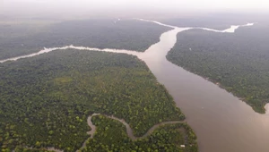 Nowy prezydent Brazylii: koniec z degradacją Amazonii