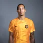 Virgil van Dijk