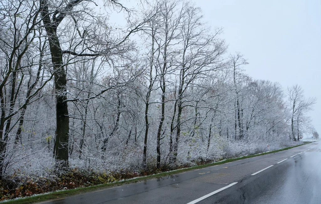 20 października w Suwałkach spadł śnieg (zdjęcie symboliczne)
