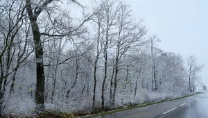 Kapryśna pogoda w długi weekend. Powróci śnieg i mróz, ale nie wszędzie