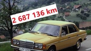 Mercedes W123 200D z 1977 roku to samochód z najwyższym zarejestrowanym w CEPiKu przebiegiem