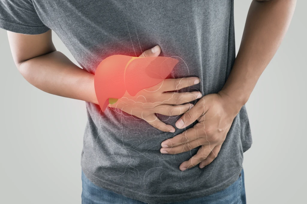 Ciężkostrawne, tłuste posiłki obciążają wątrobę, co może powodować bóle Ciężkostrawne, tłuste posiłki obciążają wątrobę, co może powodować bóle