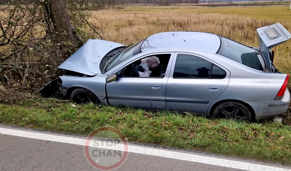 Kierowca Volvo wjechał w drzewo. Jak tłumaczy "zapatrzył się na radio".