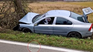 Kierowca Volvo wjechał w drzewo. Jak tłumaczy "zapatrzył się na radio".