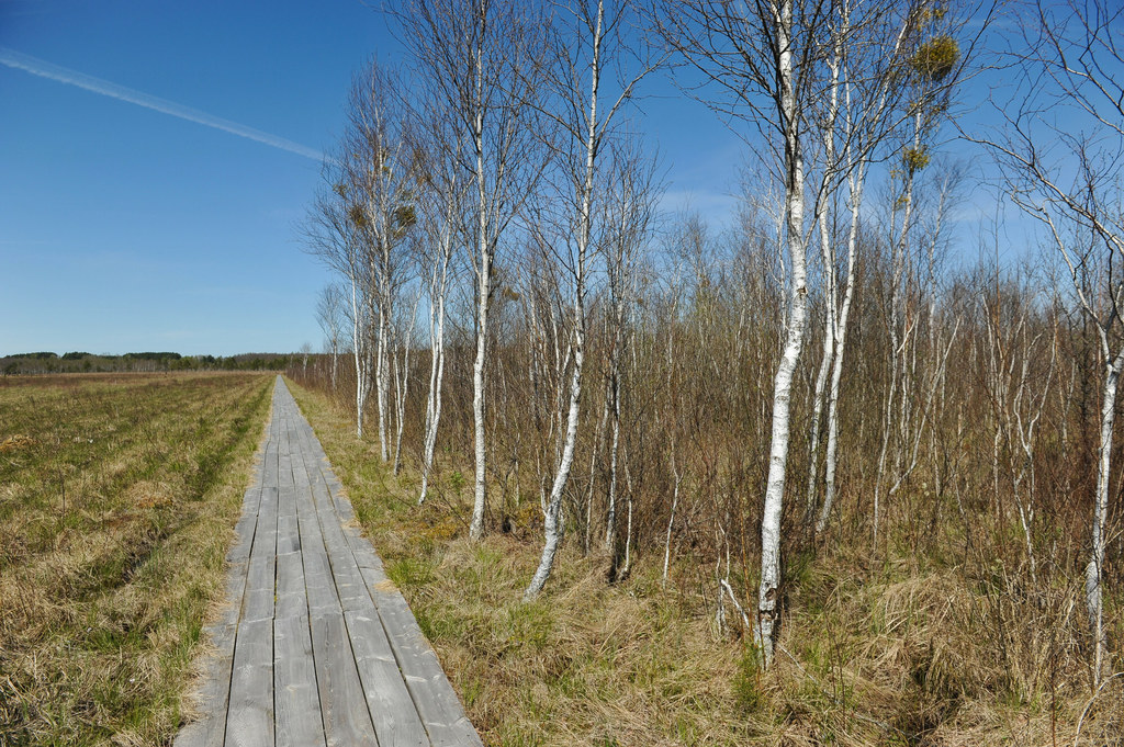 Biebrzański Park Narodowy