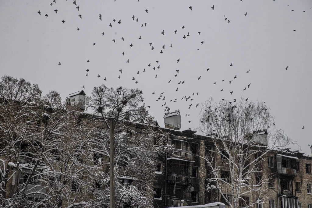 Zniszczona Borodianka. Mieszkańcy pozbawieni są dostępu do energii elektrycznej