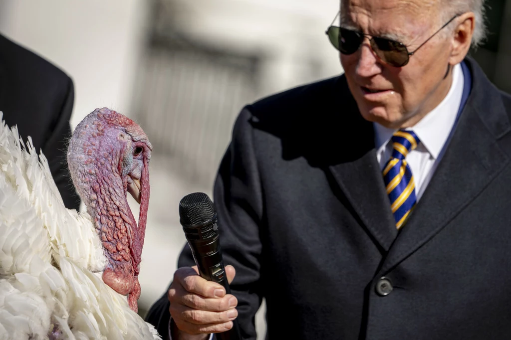 Prezydent Joe Biden ułaskawił indyki przed Świętem Dziękczynienia