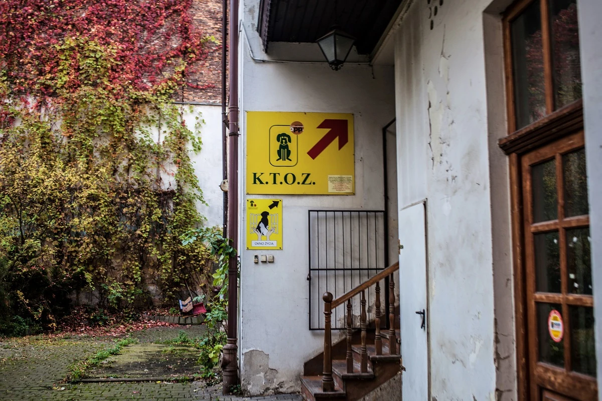 Wejście do siedziby KTOZ w Krakowie