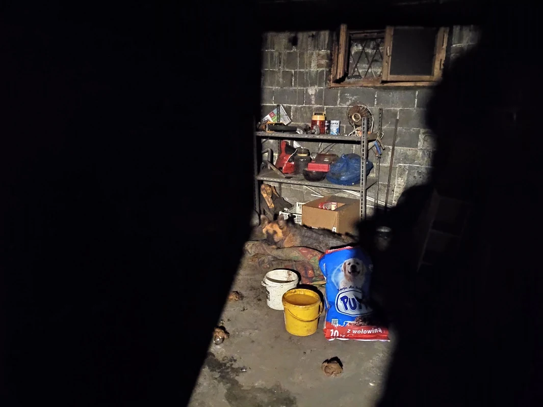 Czas na trzecią, najtrudniejszą tego dnia interwencję. Proszę państwa, oto... Elza