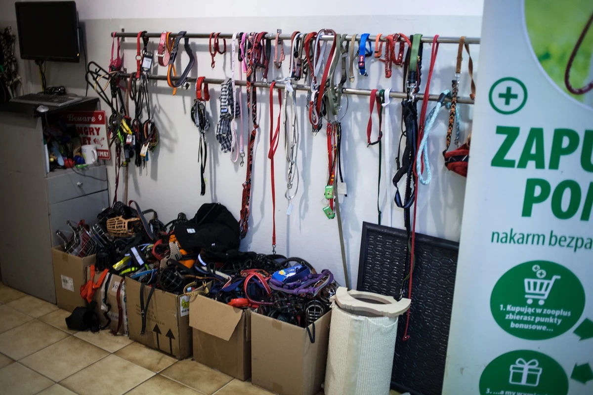 Schronisko dla Bezdomnych Zwierząt w Krakowie przy ul. Rybnej 3