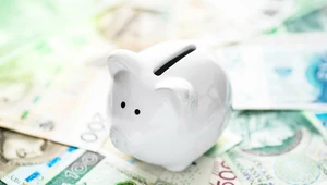 Pracownicze Plany Kapitałowe (PPK) to powszechny system oszczędzania dla pracowników realizowany przy współpracy z pracodawcami oraz państwem. Co warto o nim wiedzieć?