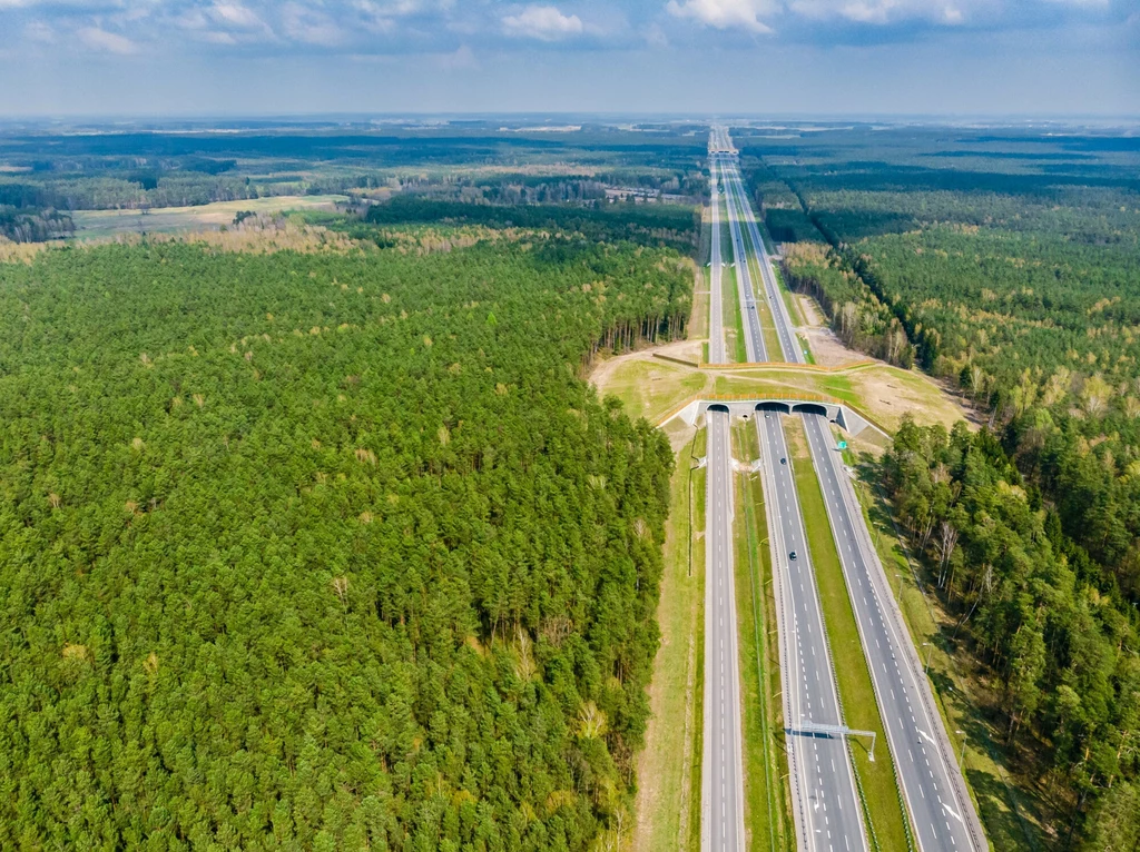 Kładka dla zwierząt górna z zachowaną roślinnością. Trasa Bohaterów Bitwy Warszawskiej 1920