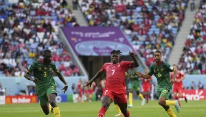 Szwajcaria - Kamerun: Relacja z meczu