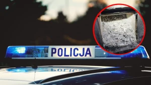Policjanci dotarli do skradzionych pieniędzy, lecz 18-latek zdążył spalić paszporty i dokumentację medyczną w piecu / źródło: policja