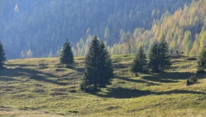 Tatrzański Park Narodowy