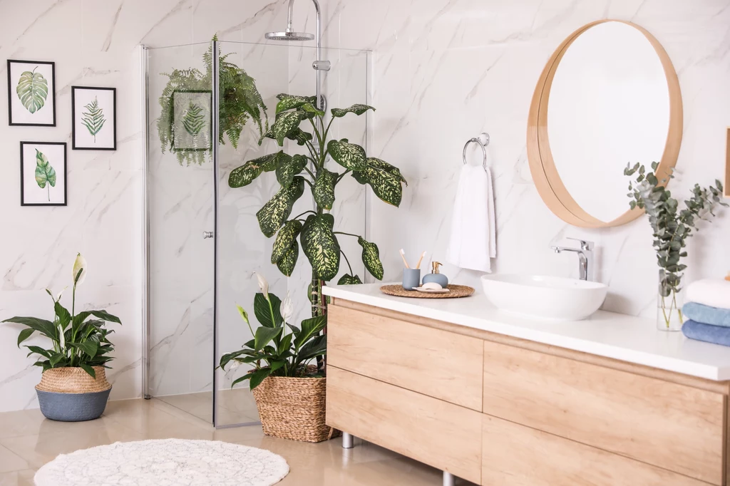 Rośliny w łazience stanowią stylową i naturalną dekorację.