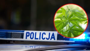 Policja zatrzymała urzędnika z Lubartowa