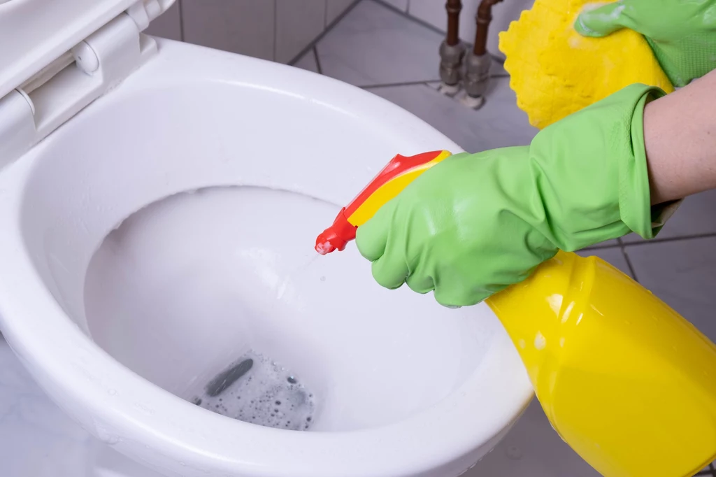 Co zrobić, aby toaleta lśniła czystością?
