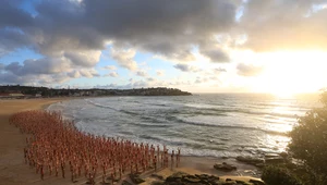 Tysiące ludzi nago na plaży w Sydney. Co tam się działo?