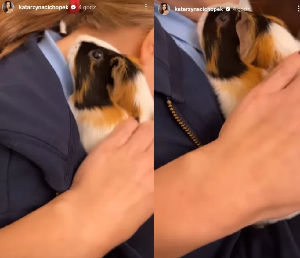 Katarzyna Cichopek Katarzyna Cichopek