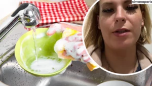 W ostatnim czasie za bałagan w domu została skrytykowana TikTokerka, która na platformie działa pod nickiem "nirvanaparis"