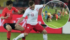 Bójka na murawie