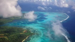 Wielka Rafa Koralowa ma za ciepło. Czy trafi na Listę Dziedzictwa Zagrożonego?