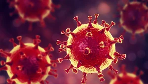 Zakażenie wirusem MERS-CoV może skutkować zgonem