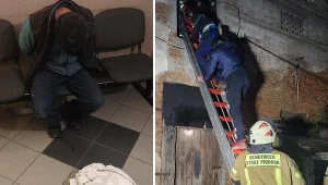 Mężczyzna zjawił się z workiem, aby podkraść cenne gołębie