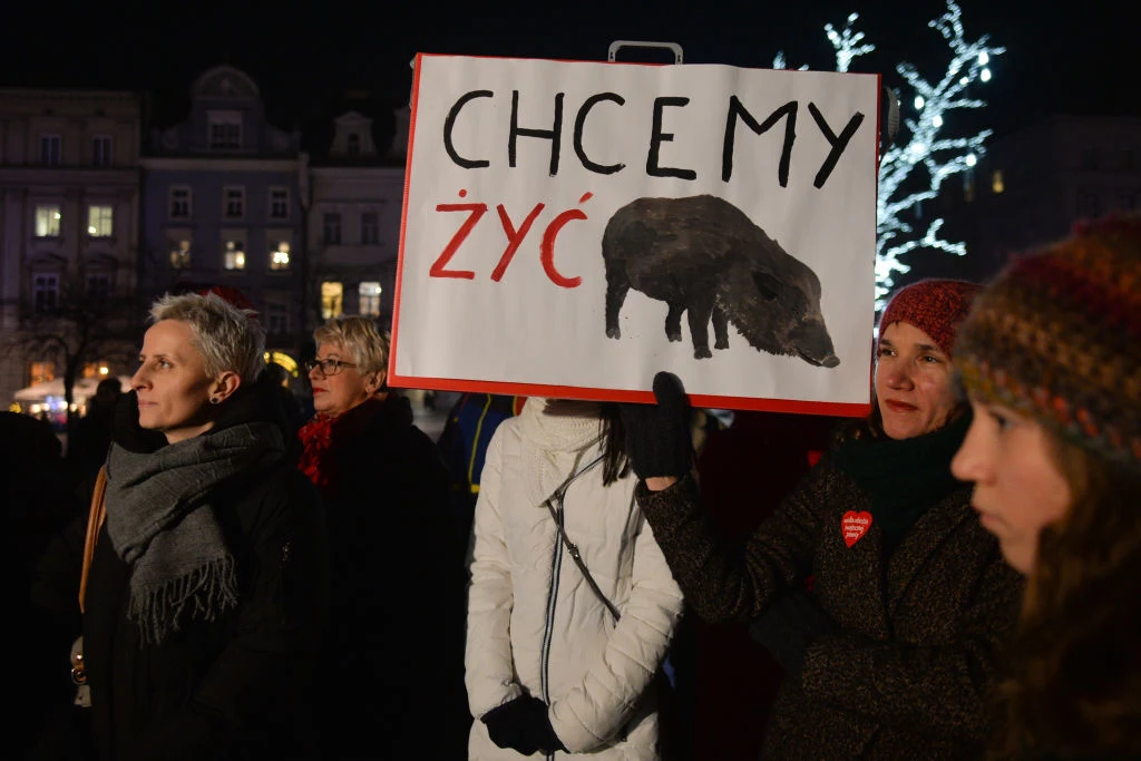 Protesty z 2020 r. przeciwko masowemu odstrzałowi dzików