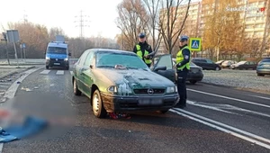 Śmiertelnie potrącił kobietę na pasach. Rzut oka na szyby w aucie mrozi krew