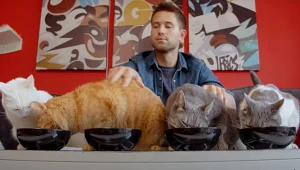 Kadr z filmu "Kociarze"