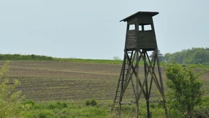 Myśliwi nie odpuszczają. Znowu chcą zabierać dzieci na krwawe polowania