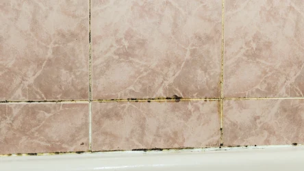 Twoje fugi nie muszą tak wyglądać. Wystarczy, że zastosujesz prosty trik, a będą znacznie czystsze