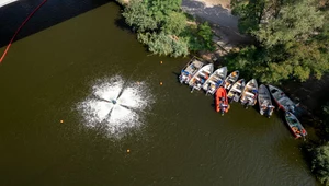 Masowe zatruwanie Odry? Rząd umniejszył liczbę "winnych"